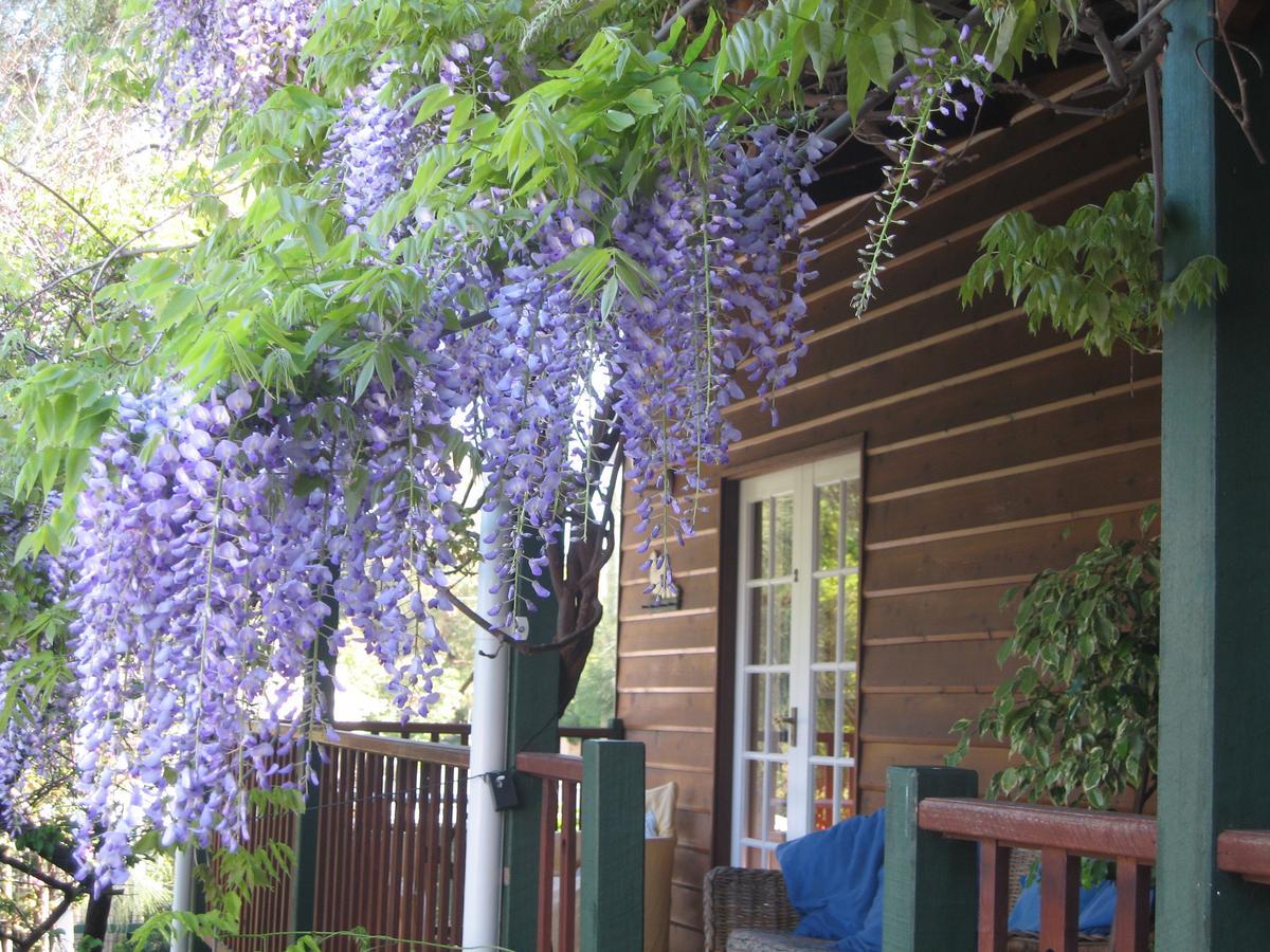 Rosemoore Bed & Breakfast Perth Eksteriør bilde